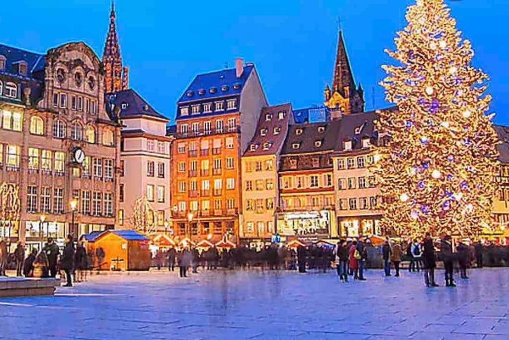 Cozy Rental Spa Schiltigheim Bagian luar foto